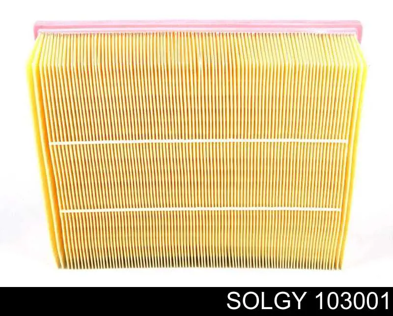 Купити 103001 Solgy Автомобільний фільтр повітря