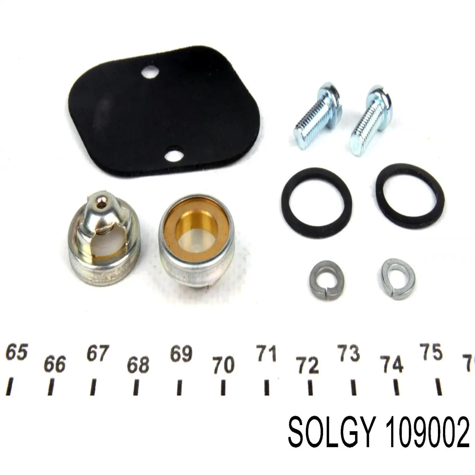 109002 Solgy Насос вакуумний