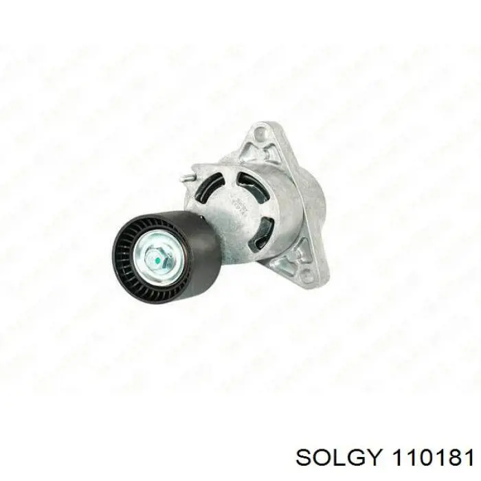 110181 Solgy 