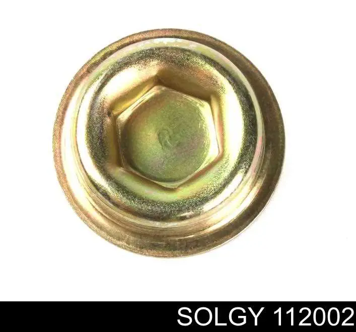 Заглушка ГБЦ/блоку циліндрів 112002 Solgy