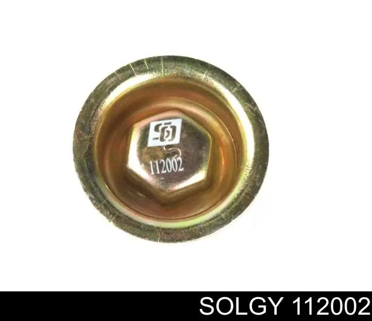 112002 Solgy Заглушка головки блока