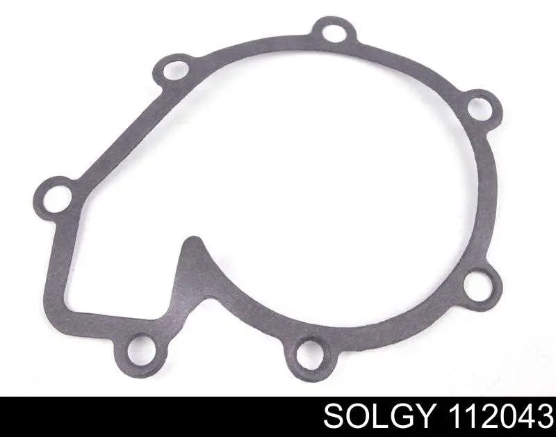 Купити 112043 Solgy Насос охолоджуючої рідини