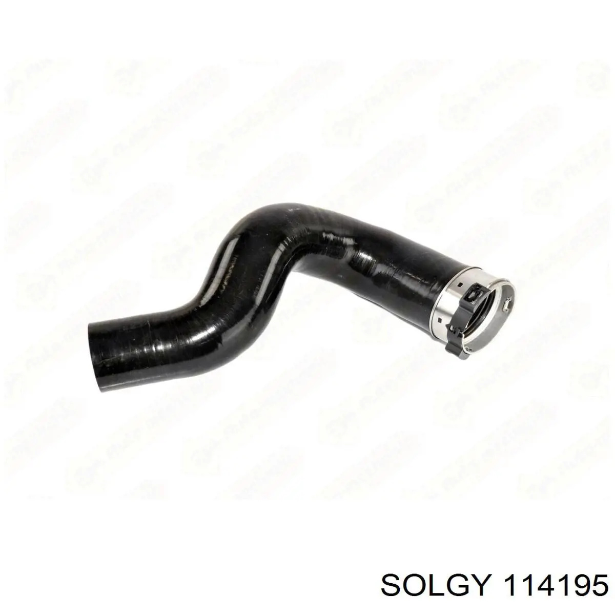  114195 Solgy