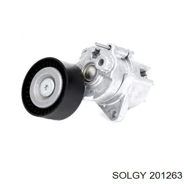 Купити 201263 Solgy Сайлентблок ресори, задній