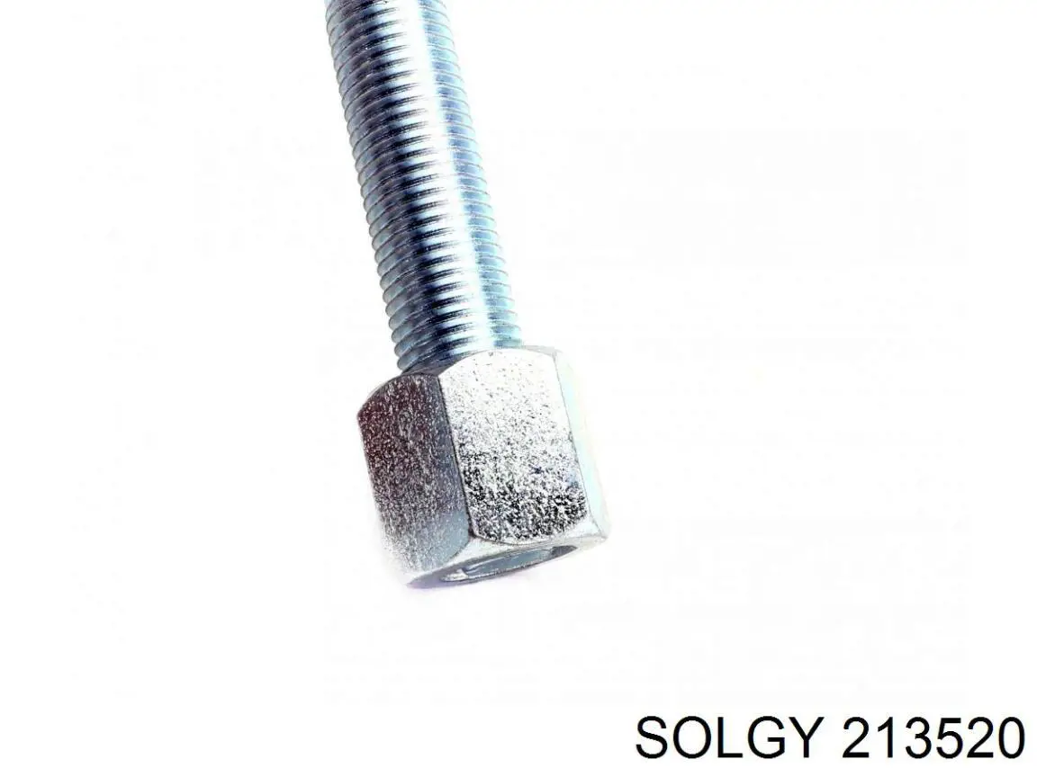 213520 Solgy 