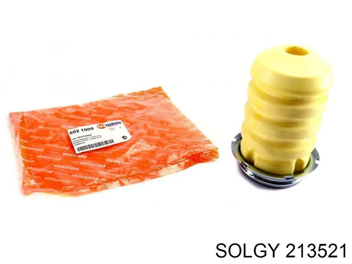  213521 Solgy