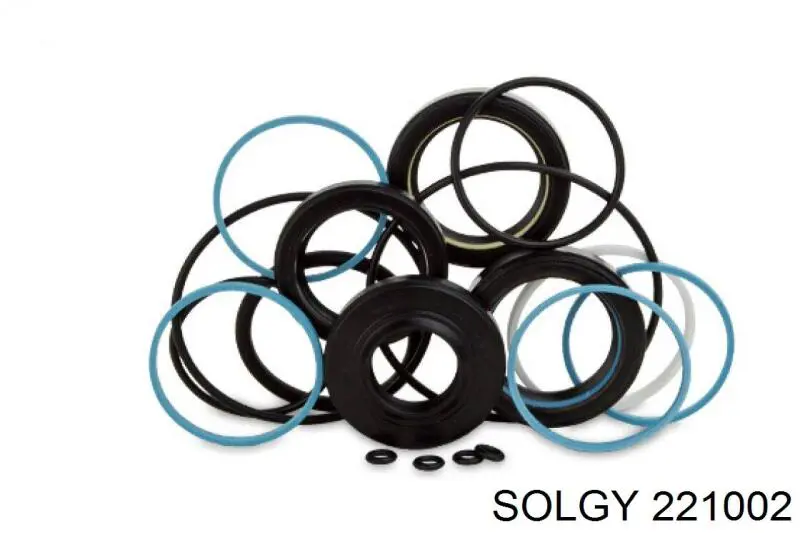 221002 Solgy ремкомплект рульової рейки (механізму г/у, (комплект ущільнень))