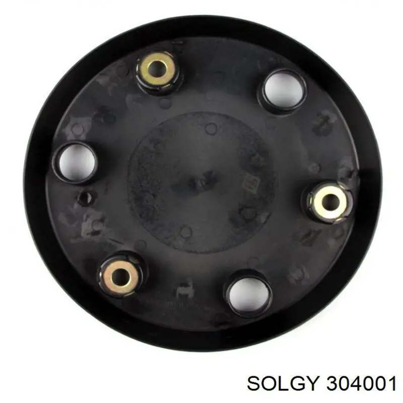 Ковпак колісного диска 304001 Solgy