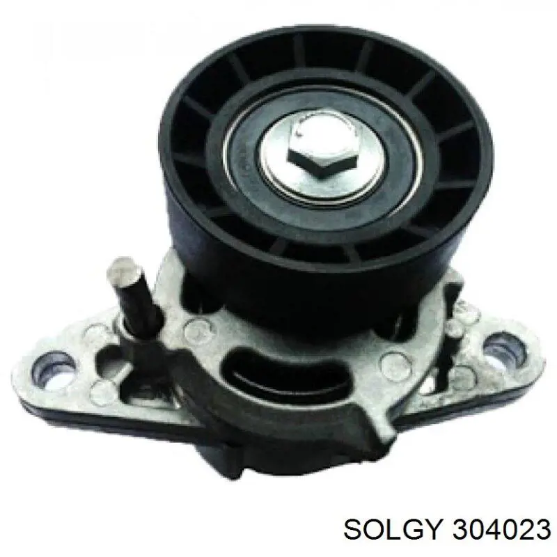 Купити 304023 Solgy Бризковики передній, правий
