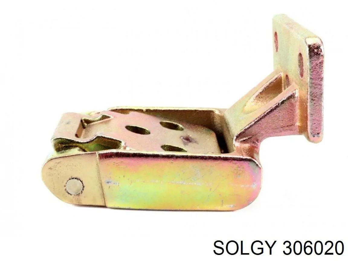 Купити 306020 Solgy Петля задньої (двостулкової) двері, ліва верхня