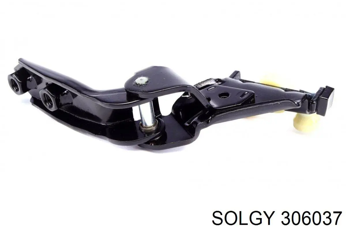 Купити 306037 Solgy Ролик двері бічної/зсувної, правий центральний задній