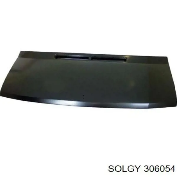 Петля капота, ліва 306054 Solgy