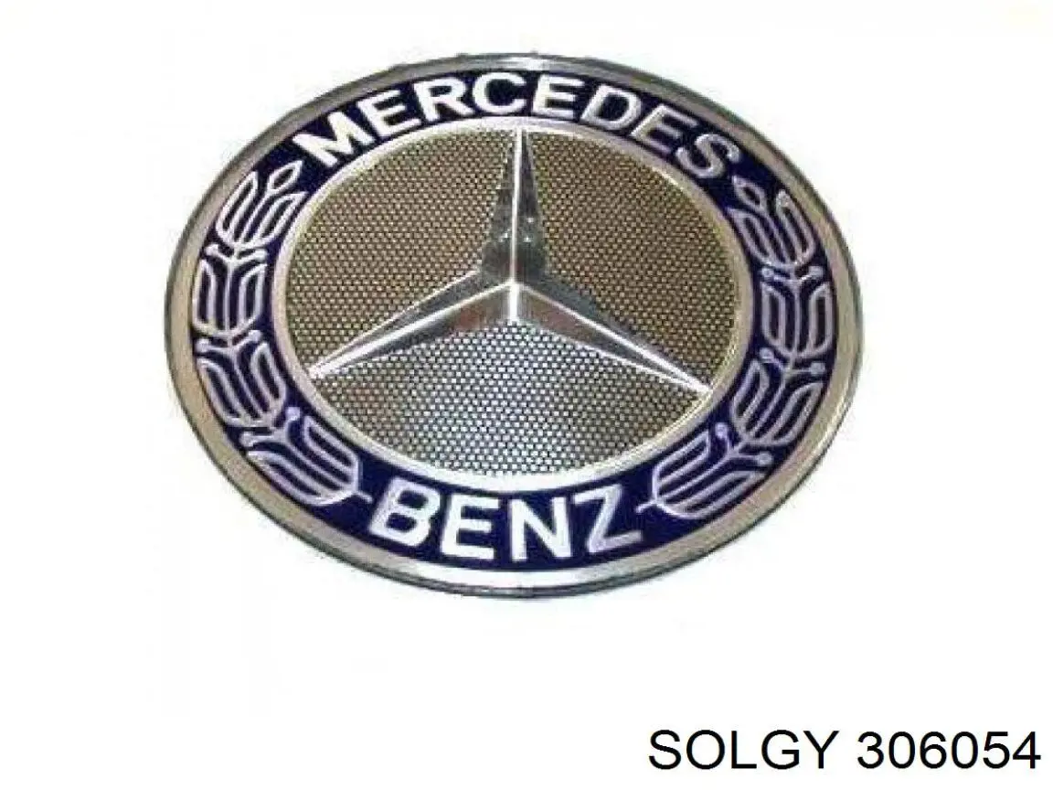 306054 Solgy Завіс капота, лівий