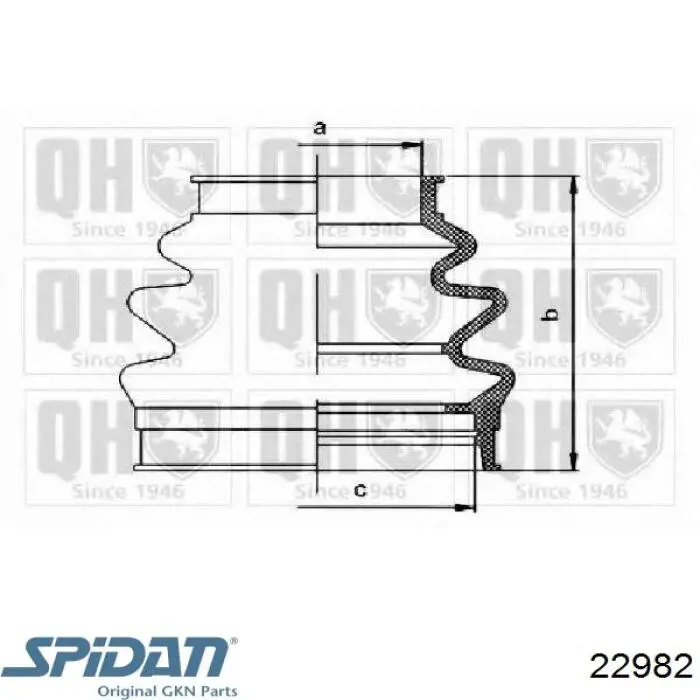 Пильник ШРКШа зовнішній, задньої піввісі 22982 GKN-Spidan