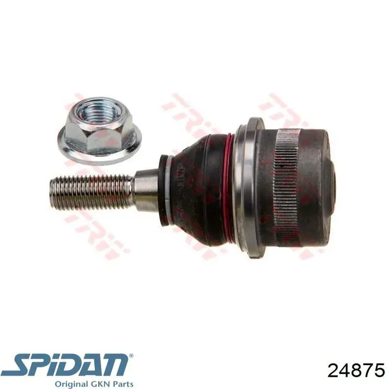 Купити 24875 GKN-Spidan Пильник шарніра приводу