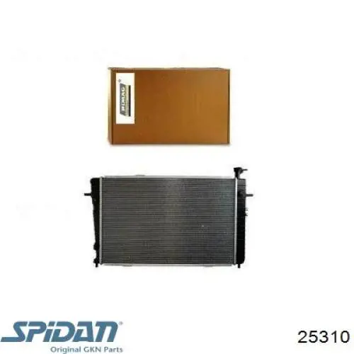 Купити 25310 GKN-Spidan Пильник шарніра приводу