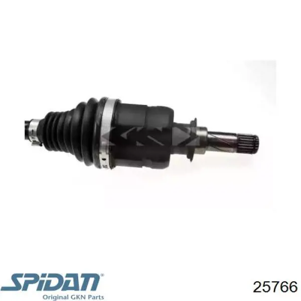 Купити G2X067PC Pascal Піввісь права