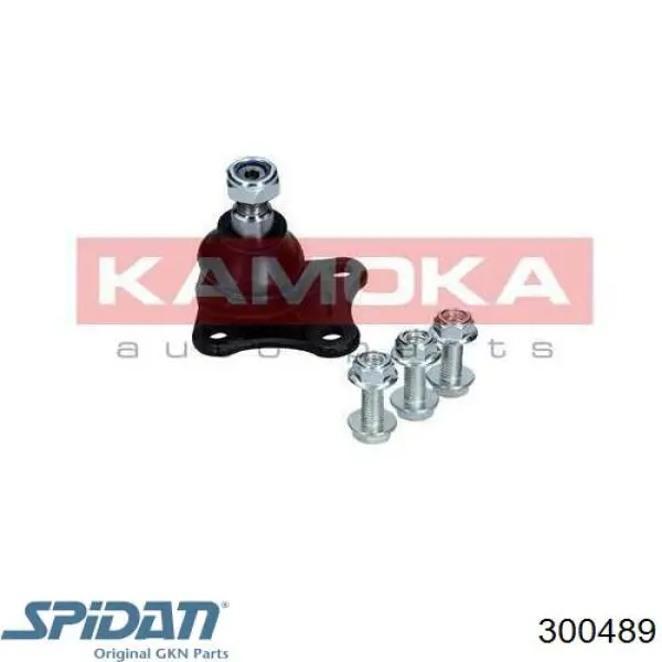 Пильник ШРКШа внутрішній, правий 300489 GKN-Spidan