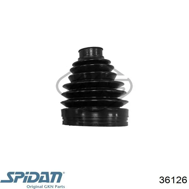 Купити 36126 GKN-Spidan Пильник шарніра приводу