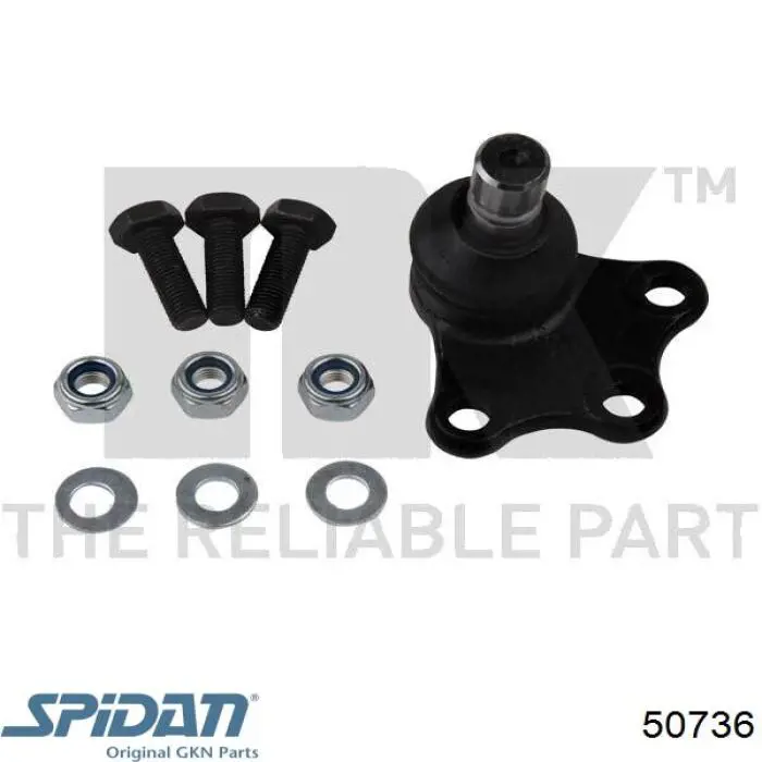 50736 GKN-Spidan Кульові на авто