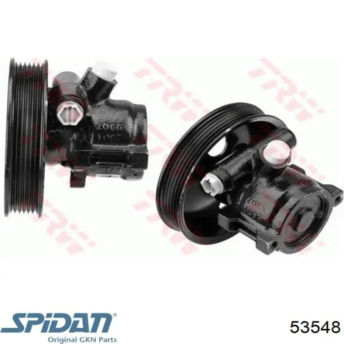 Насос ГУР 53548 GKN-Spidan