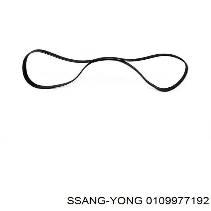 Клиновий ремінь Ssang Yong 0109977192 ціна, від 11.86 USD
