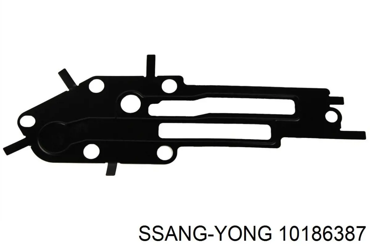 10186387 Ssang Yong 