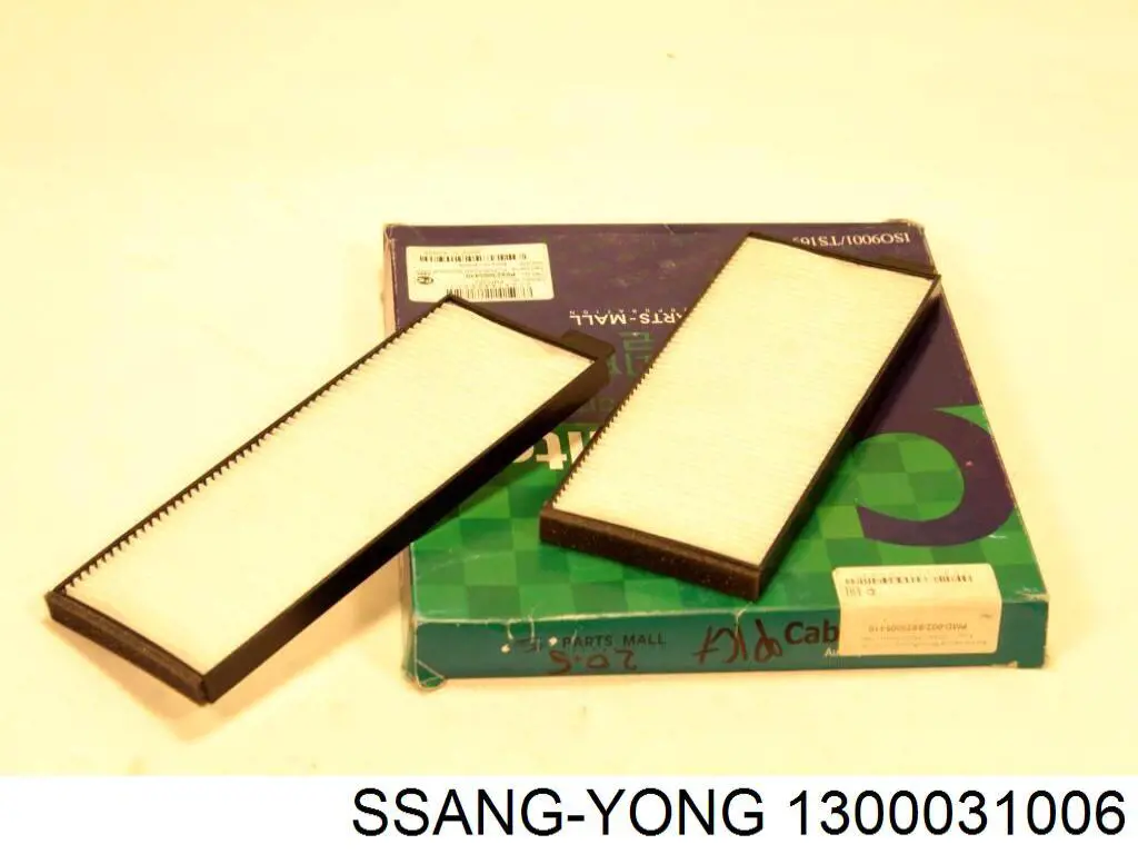  1300031006 Ssang Yong