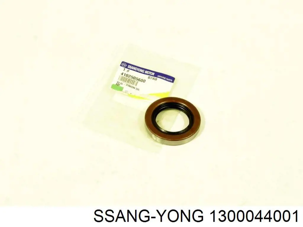  1300044001 Ssang Yong