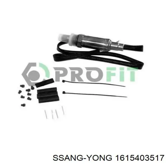 Купити 1615403517 Ssang Yong Лямбда зонд, датчик кисню