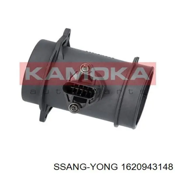 Купити 1620943148 Ssang Yong Повітромір
