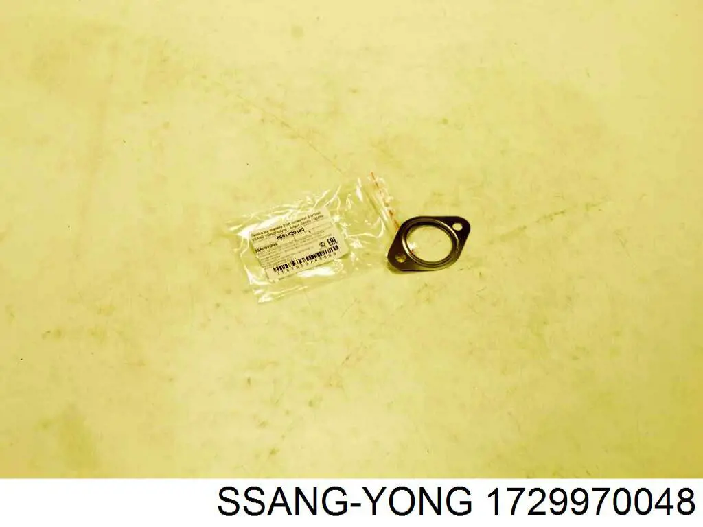 1729970048 Ssang Yong 