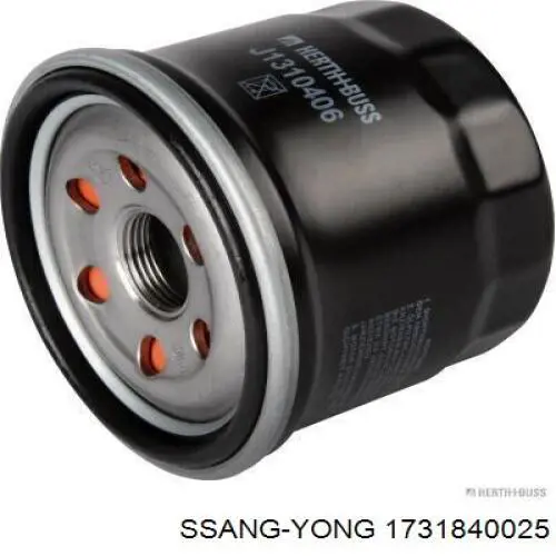 1731840025 Ssang Yong Фільтр масла