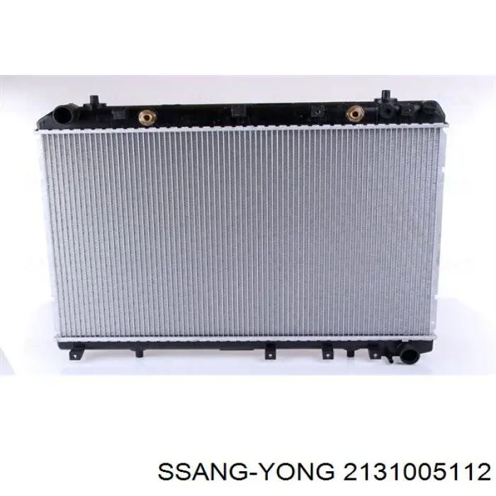 Радіатор основний Ssang Yong 2131005112 ціна, від 115.11 USD