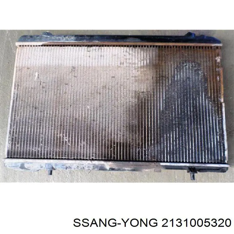 2131005322X Ssang Yong Радіатор охолодження двигуна