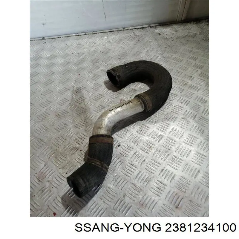 2381234100 Ssang Yong 