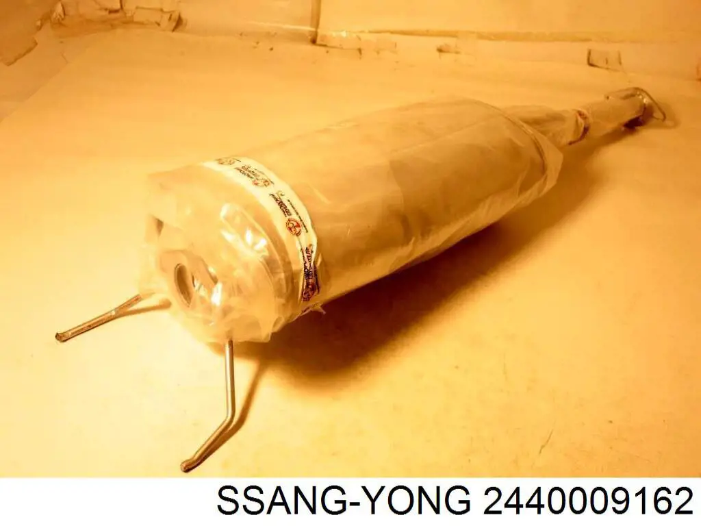 2440009162 Ssang Yong 