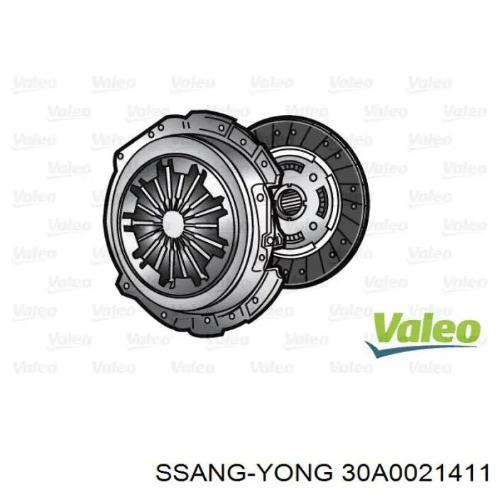  30A0021411 Ssang Yong