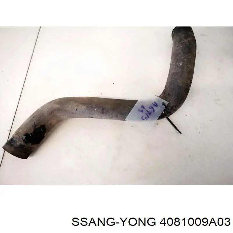 Купити Захист двигуна SsangYong Kyron  
