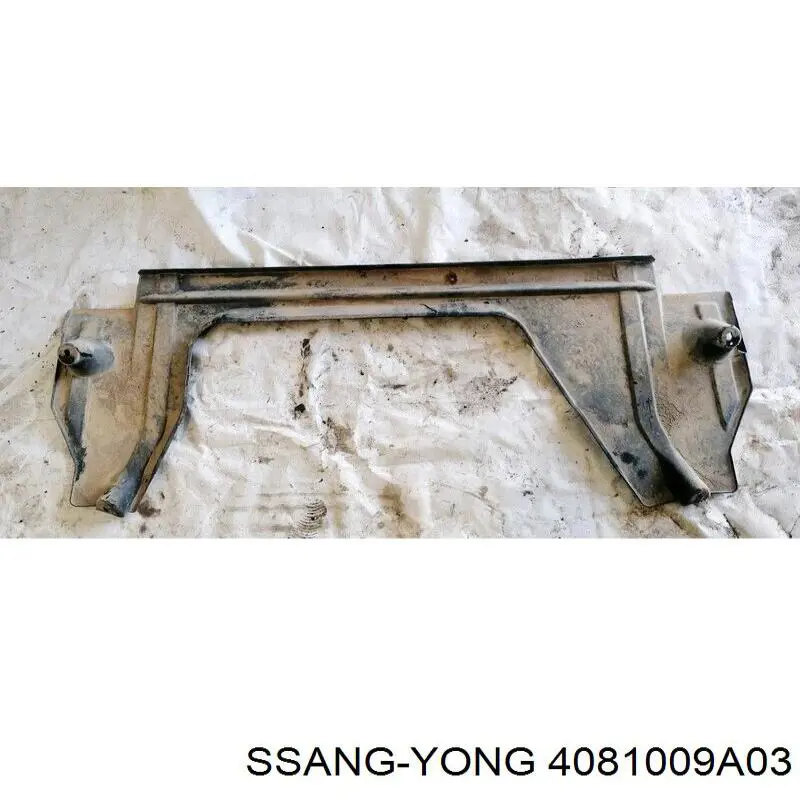  Захист двигуна SsangYong Kyron 