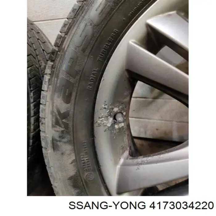 Диски колісні литі (легкосплавні, титанові) 4173034220 Ssang Yong