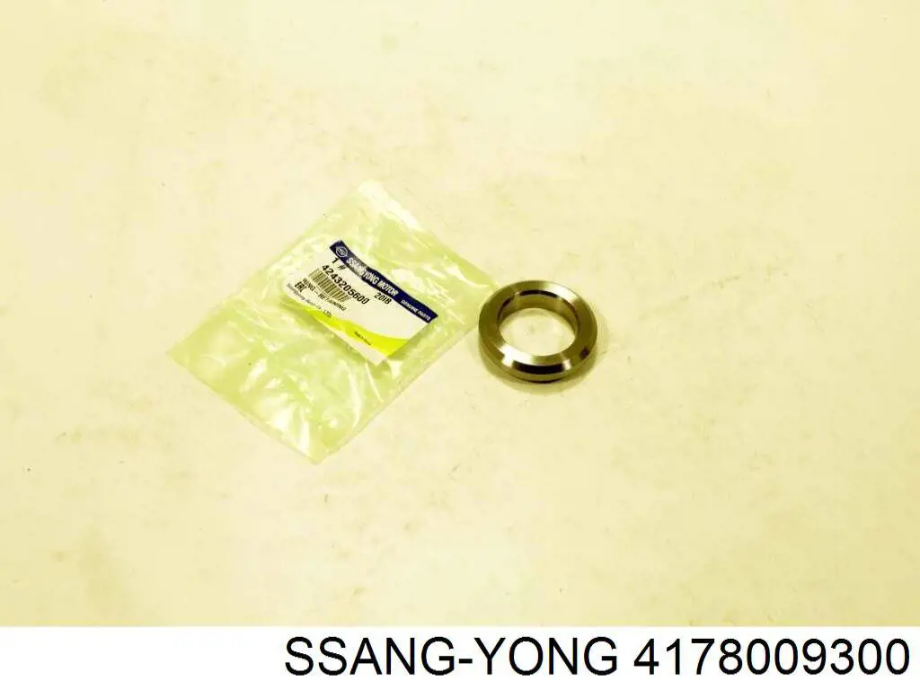  4178009300 Ssang Yong