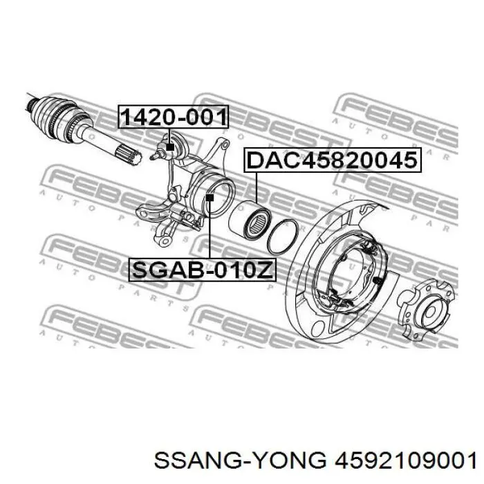 Цапфа - поворотний кулак задній, правий 4592109001 Ssang Yong