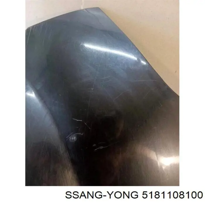 5181108100 Ssang Yong Переднє ліве крило