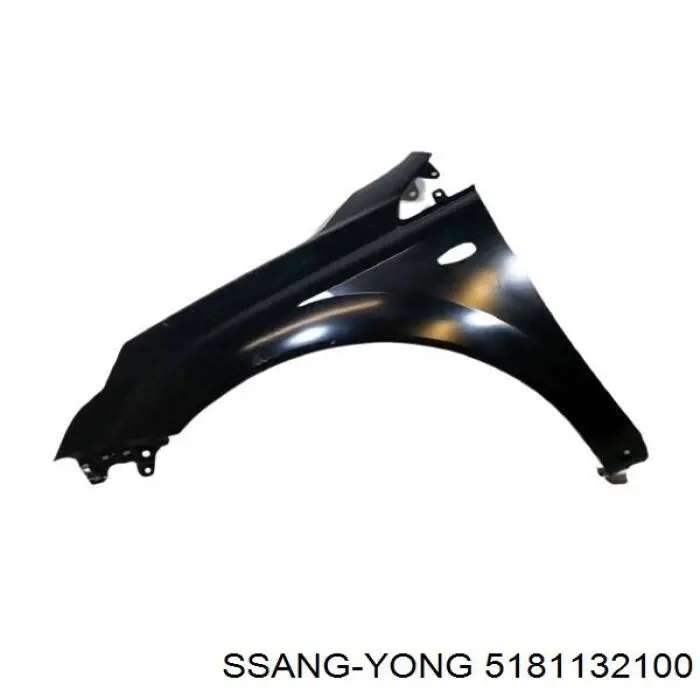 Переднє ліве крило на SsangYong Actyon  