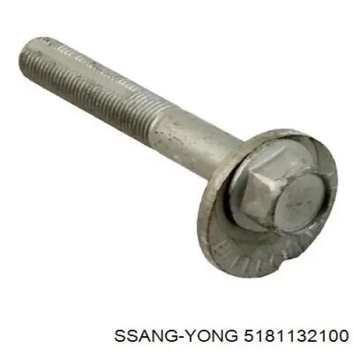 Купити Крило переднє ліве SsangYong Actyon  