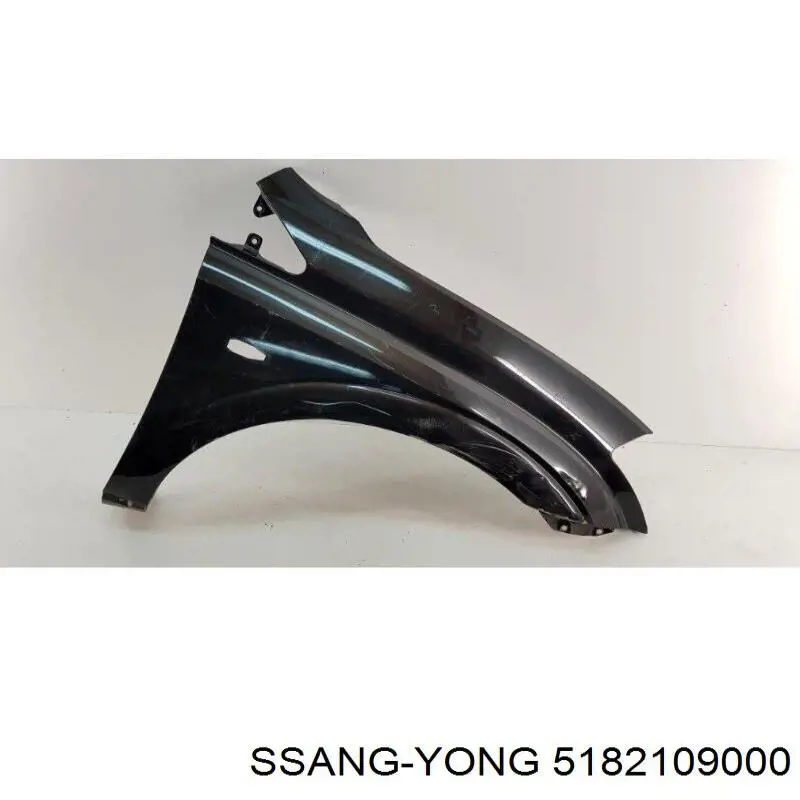 Купити Крила SsangYong Kyron  