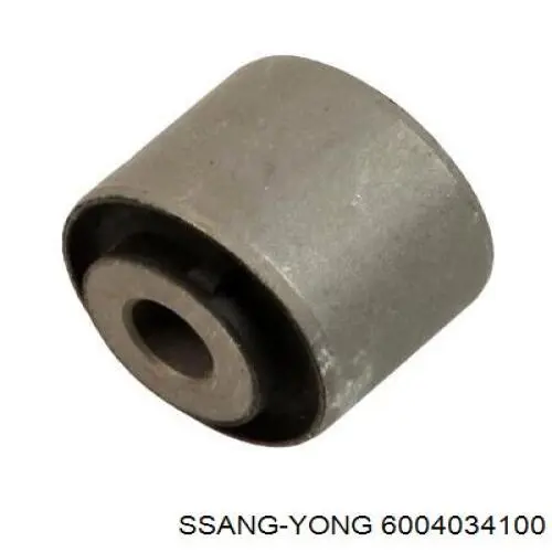 Елементи кріплення Ssang Yong 6004034100 ціна, від 34.78 USD