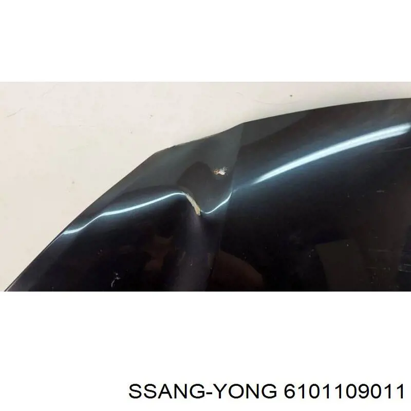 Капот Ssang Yong 6101109010 ціна, від 316.74 USD