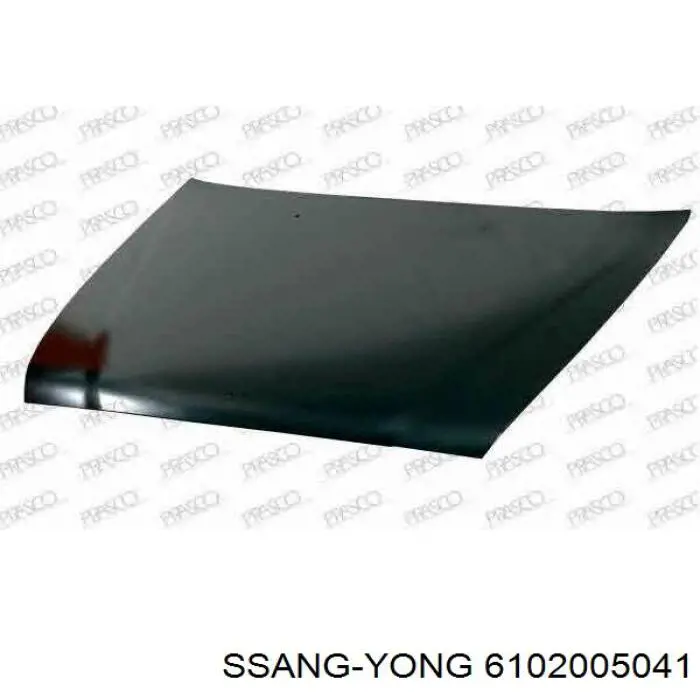 Купити 6102005041 Ssang Yong Капот